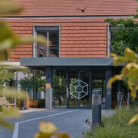 ホテル Domaine Des Diamants Blancs De ボンデュ エクステリア 写真